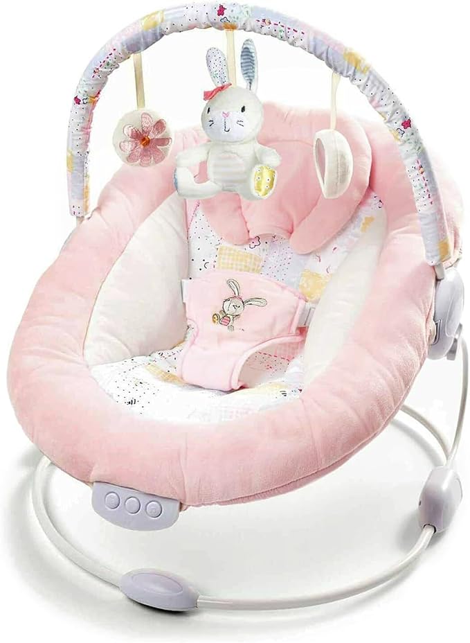 ladida Baby Bouncer 0 to 6 months