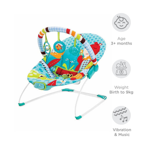 Mastela Soothing Vibration Bouncer (3 to 12 Months)