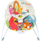 ladida Baby Bouncer 0 to 6 months