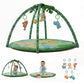 Playgym - Forest Fun