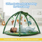 Playgym - Forest Fun