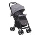 Joie Mirus Reversible Handle Stroller-Birth to 36months (Ember) - Distressed