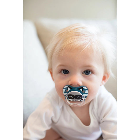 Dr. Brown Teal & Gray PreVent Printed Shield Soother || Stage-1 || Pack of 2 || Birth+ to 6months - Toys4All.in